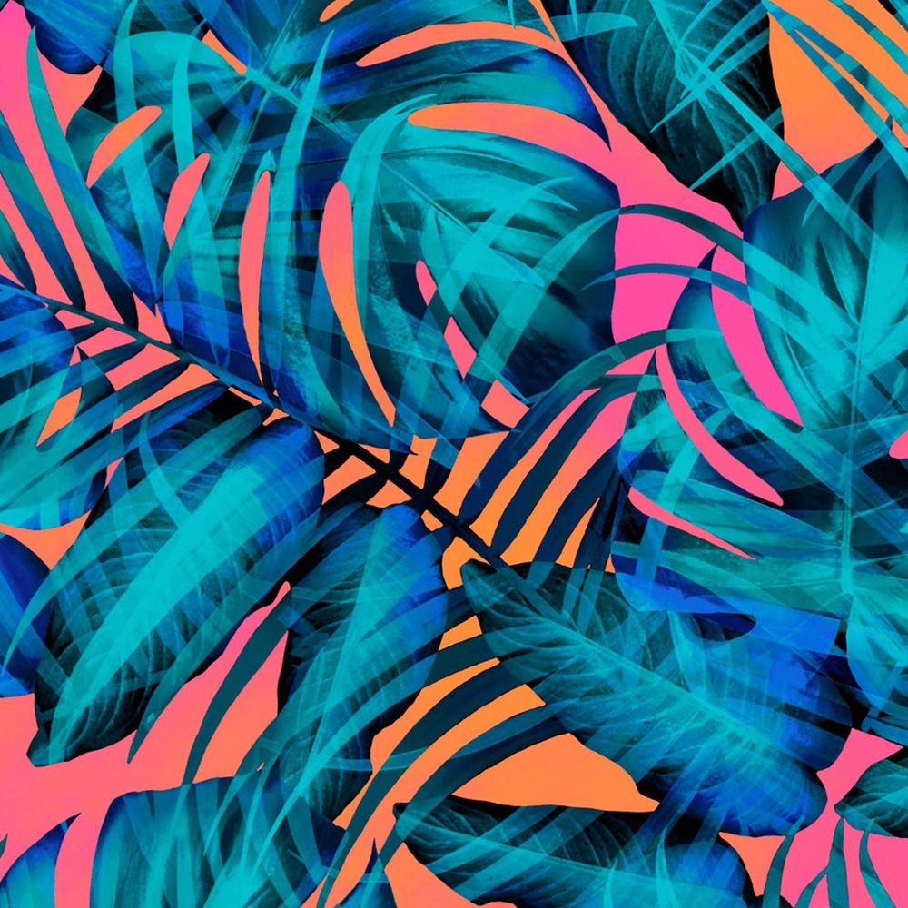 Meet your Posher, Kenda